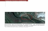 Informe Tecnico Ambiental, Relleno con demolicion de Playon de Maderas