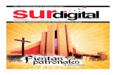 Diario Sur Digital (Agosto 2010)