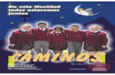 Revista Caminos Nº 03 - Colegio Ingenieria - Huancayo, Perú