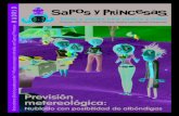 Revista Sapos y Princesas Diciembre 09