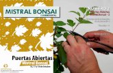 Revista Mistral Bonsai digital 2