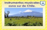 Instrumentos musicales zona sur de Chile