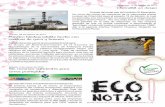 Eco Notas n.33