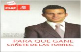 PROGRAMA ELECTORAL PSOE CAÑETE DE LAS TORRES 2011-2015