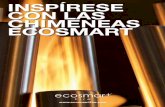 EcoSmart Fire "Be Inspired..."