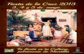 Programa Fiesta de la Cruz Montilla 2013