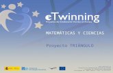 Proyecto de Matemáticas y Ciencias en español: TRIÁNGULO
