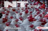 NT#3 Avicultura