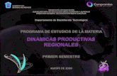 Programa de Dinamicas Productivas Regionales 1er Semestre