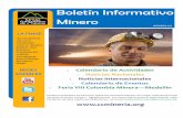 Boletin Informativo Minero 018
