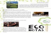 Eco Notas n. 29