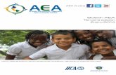 Boletín informativo del Programa AEA, enero 2014 (tercera edición)