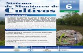 Sistema de Monitoreo de Cultivos en Guatemala, Junio 2014