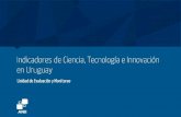 Indicadores de Ciencia, Tecnología e Innovación en Uruguay