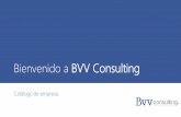 Presentación empresa BVV Consulting