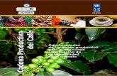 Cadena productiva del café: oportunidades de inclusión productiva en el Quindío