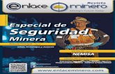 Enlace Minero no9 web