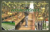 Hidroponia cbta 12