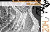 Catalogo 2014 Salamandra