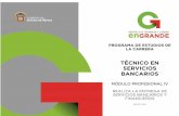 Dbt pdf técnico en servicios bancarios mód iv