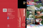 Guía práctica de la provincia de Sevilla