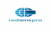 Manual Identidad Corporativa "Red SMS Pro"