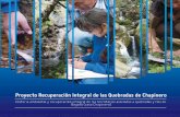 Proyecto Recuperación Integral de Quebradas de Chapinero
