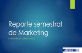 Reporte semestral de Marketing 2014.1