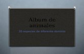 Album 20 especies de animales hecho por raquel avalos