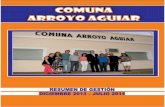 Resumen de Gestión Comuna de Arroyo Aguiar