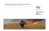 Catálogo de Formación en Incendios Forestales