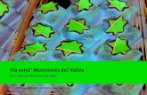 Pla estel* Montornès del Vallés