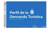 Perfil de la Demanda Turística en la Provincia de Concepción