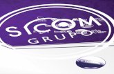 Grupo Sicom Institucional 2014