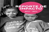 Reporte de Impacto Diseña el Cambio 2013 - 2014