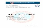 12 exposición de microeconomía