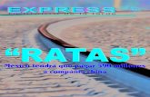 Express 398