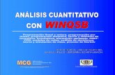 Manual winqsb