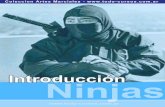 Ninjutsu Introducción