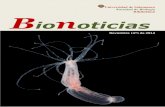 Bionoticias 1ª semana de diciembre
