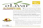 Olivar 2014-38