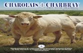 Revista charolais charbray dic 2014