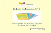 Boletin 1 guia para la planificacion microcurricular