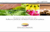Boletín de Analisis de Mercados Internacionales DIC/ENE 2015