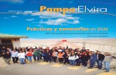 Pampa Elvira Enero