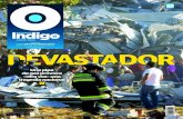 Reporte Indigo: DEVASTADOR 30 Enero 2015