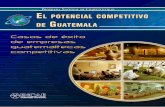 Potencial competitivo de guatemala