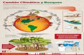 Infografía: Cambio Climático y Bosques