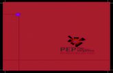 Pep2011 - Plan Estratégico Pergamino