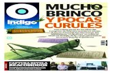 Reporte Indigo: MUCHO BRINCO Y POCAS CURULES 5 Marzo 2015